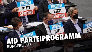 AfD Partei- und Wahlprogramm | AfD Fans haben es nie gelesen