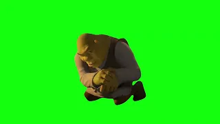 Shrek Rizz Green Screen Meme