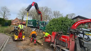 Wie kam es zu dem Unfall?Man muss wissen was man tut und was passieren kann!Kranfällung geht schief!