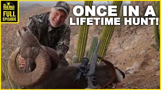 BIG HORN SHEEP HUNT of a LIFETIME