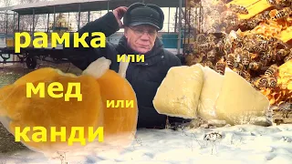 Подкормка пчел зимой Что лучше для пчел канди, мед или рамка с медом?