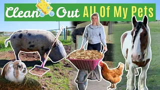Clean Out ALL of The Animals With me | Lock Down Day 26