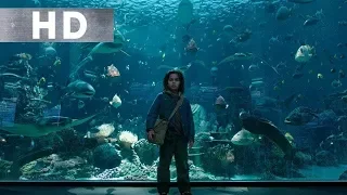 Aquaman Balıklarla Konuşuyor | Akvaryum Sahnesi | Türkçe Dublaj