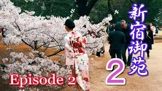 【Cherry blossoms】TOKYO. Shinjuku Gyoen, Episode 2. 2019 #4K #新宿御苑 #ソメイヨシノ