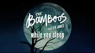 The Bamboos - While You Sleep ft. Ev Jones (Official Visualiser)