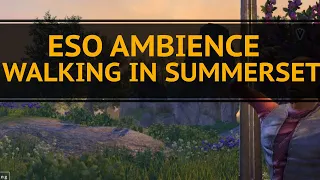 ESO Summerset Walking and Exploring Ambience
