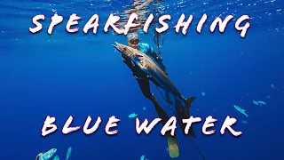 KSA EP2 Spearfishing Blue Water