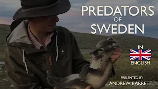 Predators of Sweden