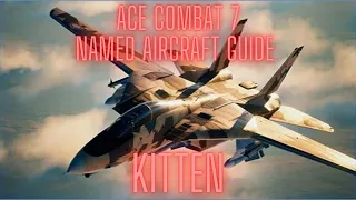 Ace Combat 7 Kitten Ace Guide