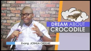 DREAMS ABOUT CROCODILES - Find Out The Biblical Dream Meanings