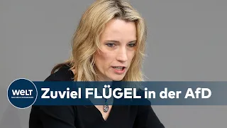 FLÜGEL-GEGNERIN TRITT AUS: Hartmann geht - AfD-Bundestagsfraktion schrumpft weiter