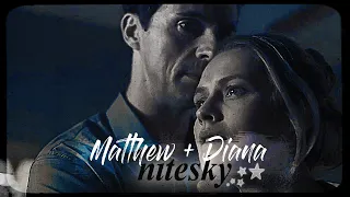 ● Matthew + Diana | NITESKY