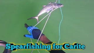 Trinidad Spearfishing / Northeastern Coast of Trinidad and Tobago - Ep 270