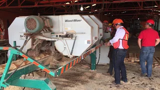 Wood-Mizer HR1000 Horizontal Resaw with 3 heads in Mexico Sawmill Operation