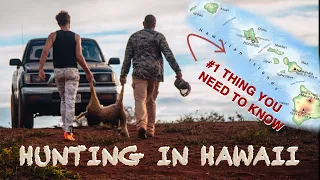 Hunting in Hawaii: #1 Thing You Need to Know