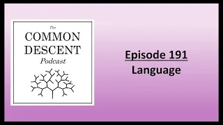 Episode 191 - Language