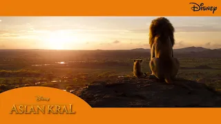 Disney'den Aslan Kral I 19 Temmuz’da Sinemalarda