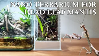 Nano Terrarium for Dead Leaf Mantis (Time Lapse Build, Feeding & more..)