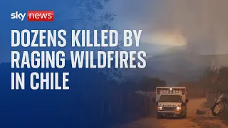 Wildfires in Chile kill dozens as fast-spreading flames wreak devastation