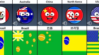 Brazil In Some Countries Language and Flags