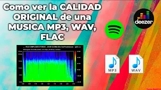 Como ver la CALIDAD ORIGINAL de una MUSICA MP3, WAV, FLAC