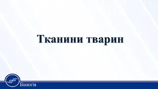 Тканини тварин. Біологія 10 клас