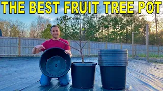 I Found The PERFECT FRUIT TREE CONTAINER!