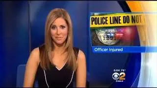 Arrest Made In Crash That Left LAPD Officer Critically Injured