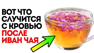 Что творит иван-чай! Смотрите, что произойдет в теле и как приготовить