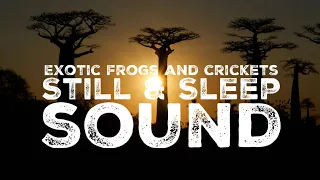 Relaxing sound of Madagascar: frogs, cricket with a roaring ocean / work, study, sleep ambiance