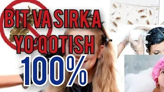 Bit va sirkalarni 100% yoʻqotish usuli, natija bomba zoʻr👍👍👍