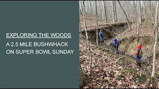 Exploring the Woods- A 2.5 Mile Bushwhack on Super Bowl Sunday