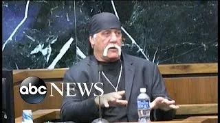 Hulk Hogan's Sex Tape Lawsuit Against Gawker