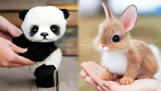 Animals SOO Cute! Cute baby animals Videos Compilation cutest moment of the animals #9