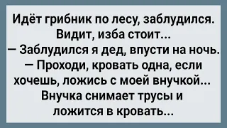 Внучка Хозяина Дома Сняла Трусы и Легла с Грибником в Кровать! Сборник Свежих Анекдотов! Юмор!