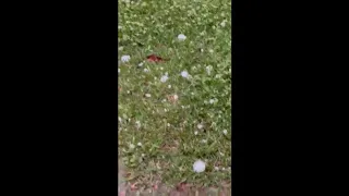 VIDEO: Footage shows hail in Henderson on Friday