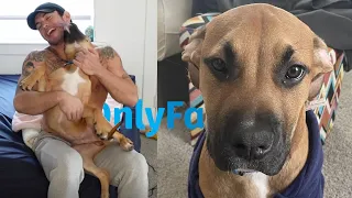 Gay4Pay Model Finds Abandoned Dog!