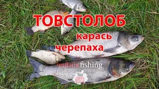 Фильм. Рыбалка с ночевкой 3-4-5 августа на платнике возле Узина. Толстолоб, карась, черепаха.