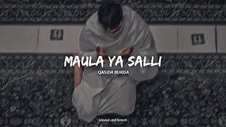 Maula Ya Salli | Slowed and Reverb | Sami Yusuf ft. Qasida Burda Shareef