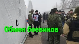 Десятки боевиков отказались от обмена в "ДНР" и хотят остаться в Украине: что произошло