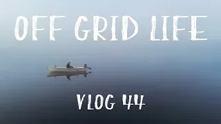 Off Grid Life | Early morning fog and handmilking cows