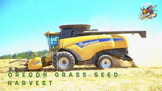 OREGON GRASS SEED HARVEST in the Willamette Valley