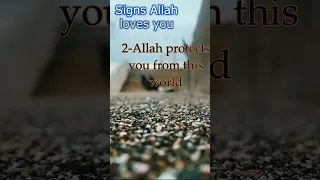 Signs That Allah loves you