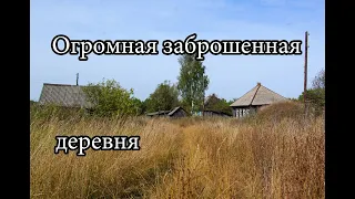 ОГРОМНАЯ ЗАБРОШЕННАЯ ДЕРЕВНЯ. ВСЁ ОСТАВЛЕНО! ИНТЕРЕСНЫЕ НАХОДКИ В ДОМАХ И САРАЯХ