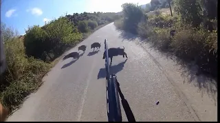 ARTAHAN GREECE WILDBOAR HUNTING