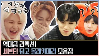 🚨Laughing caution 🚨Collection of suspicious SEVENTEEN series that were beaten by Dingo ㅣSEVENTEEN