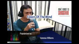 Vanessa Williams Colors Of The Wind Cover (Male Version)