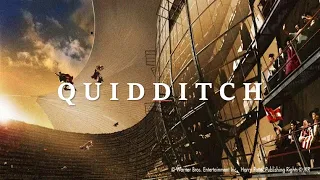 🌙harry potter : quidditch