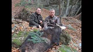 Chamois hunting in Romania4,Zerge vadászat Romániában4,Gamsjagd in Rumänien4