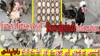 Fancy Hen And Fancy Hen Egg Cargo To Rawalpindi || Fancy Hens Chickes and egg For Sale in Pakistan